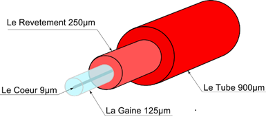 Composition d'une fibre Optique. Image_Composition d'une fibre Optique.